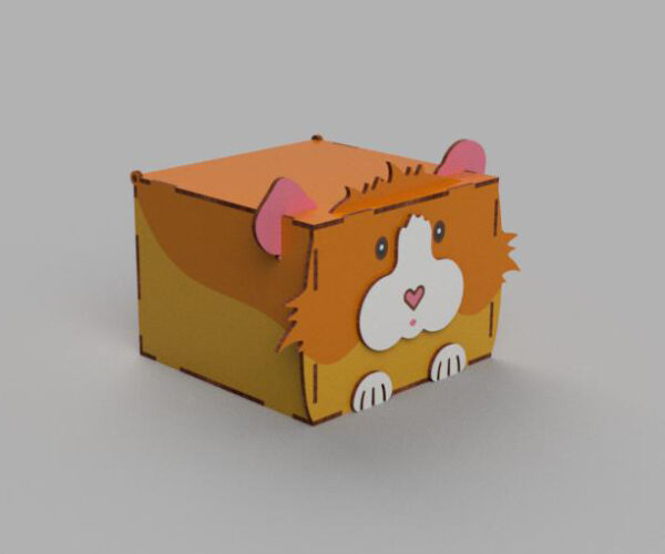 Gift Box Guinea Pig - Image 4
