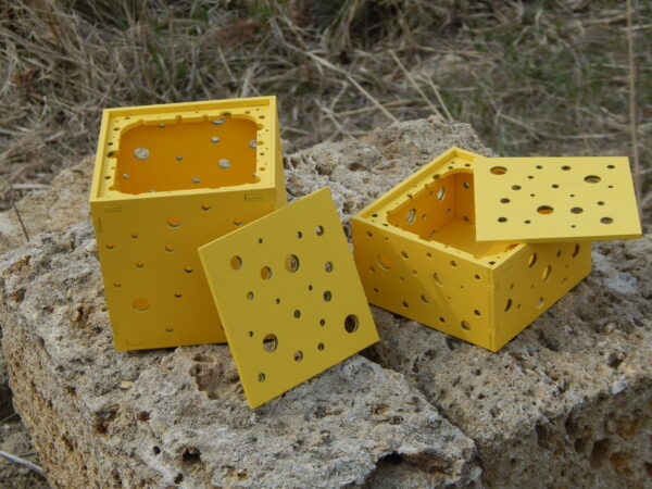 Cheese Box - Image 10
