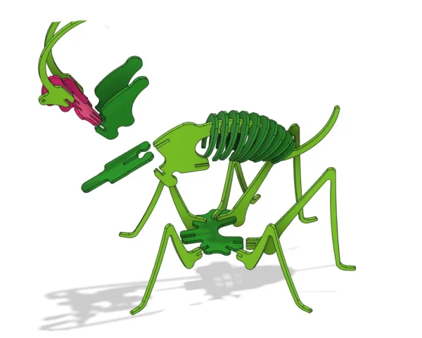 3D Grasshopper Puzzle - Image 8