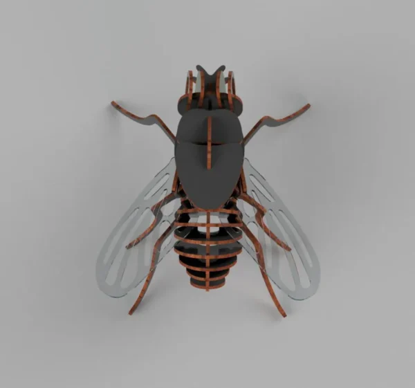 Fly 3D model - Image 2
