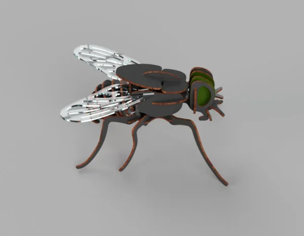 Fly 3D model - Image 4