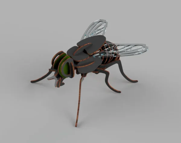 Fly 3D model