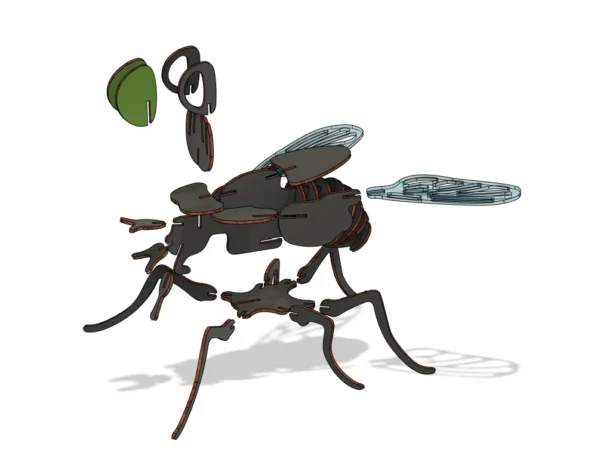 Fly 3D model - Image 5