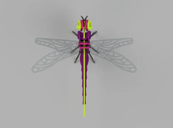 3D Dragonfly Puzzle