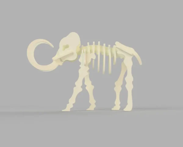 Mammoth 3D model dinosaur skeleton - Image 4