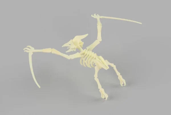 Pterodactyl 3D dinosaur skeleton mockup