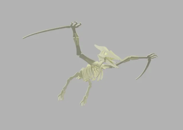 Pterodactyl 3D dinosaur skeleton mockup - Image 4