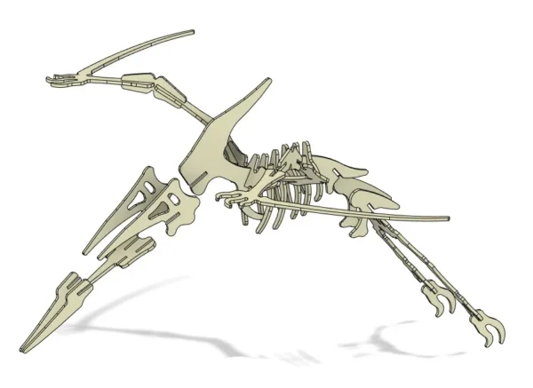 Pterodactyl 3D dinosaur skeleton mockup - Image 5
