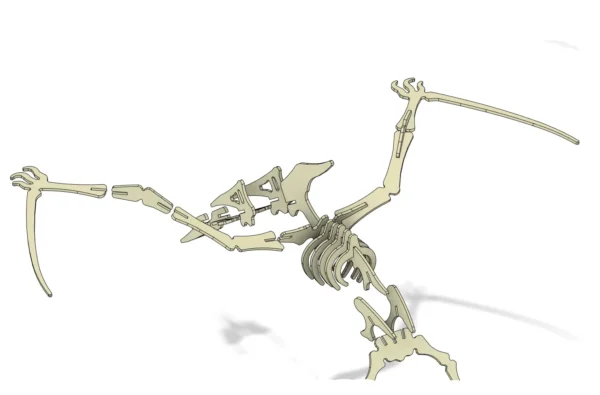 Pterodactyl 3D dinosaur skeleton mockup - Image 6