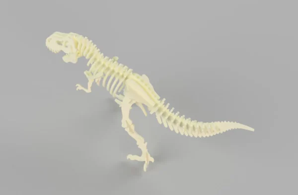 T - Rex dinosaur skeleton mockup - Image 4