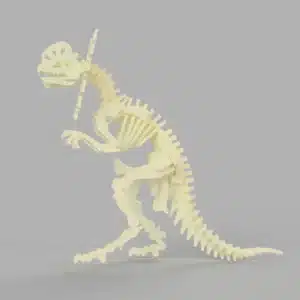 Ceratops dinosaur skeleton mockup