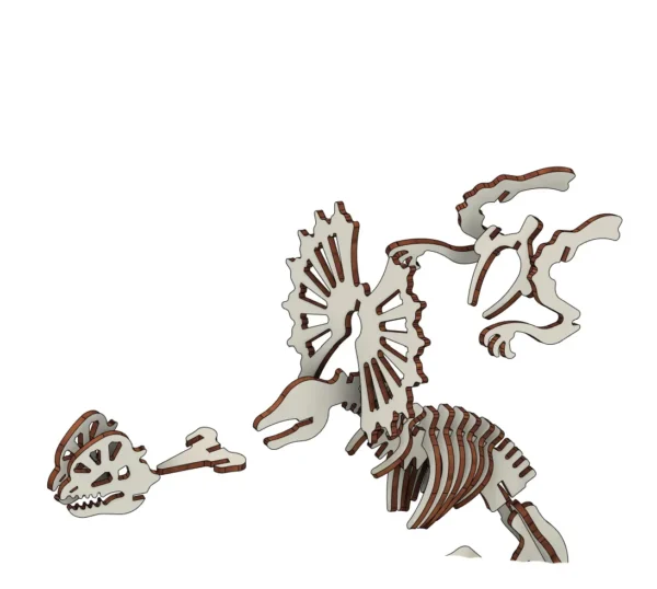 Ceratops dinosaur skeleton mockup - Image 6